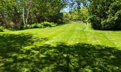  Spring and Fall Cleanups