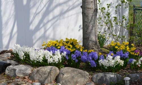  Spring and Fall Cleanups
