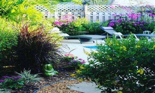  Spring and Fall Cleanups
