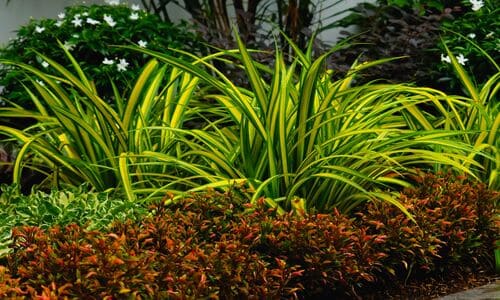 Mulch and Rock Installation