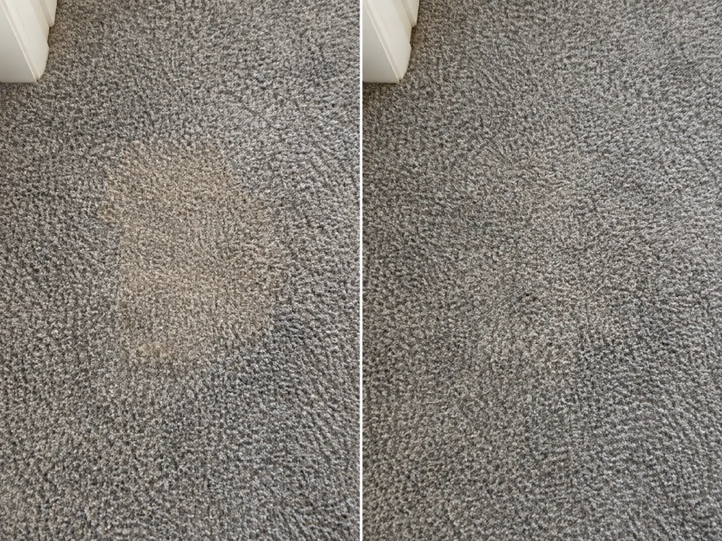 Before and after carpet color blending: a faded tan patch on gray textured carpet, then the same area blended to one even gray