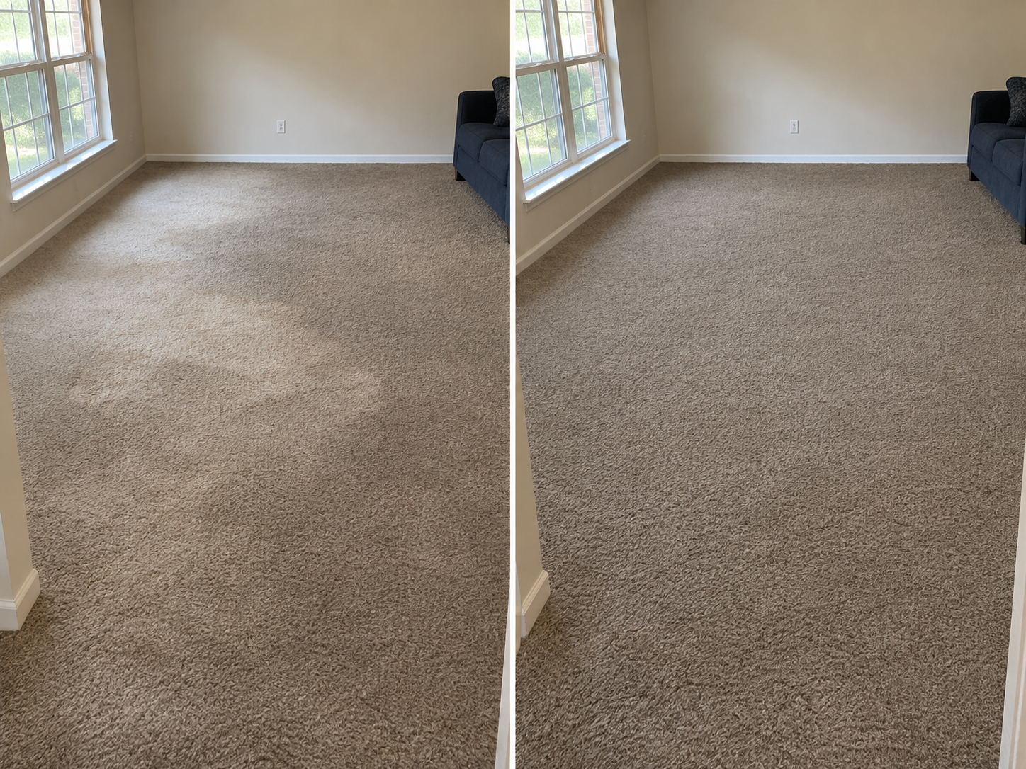 Before and after: patchy, unevenly faded builder-grade carpet near the windows of an Arlington living room, then the same room restored to a single even tone
