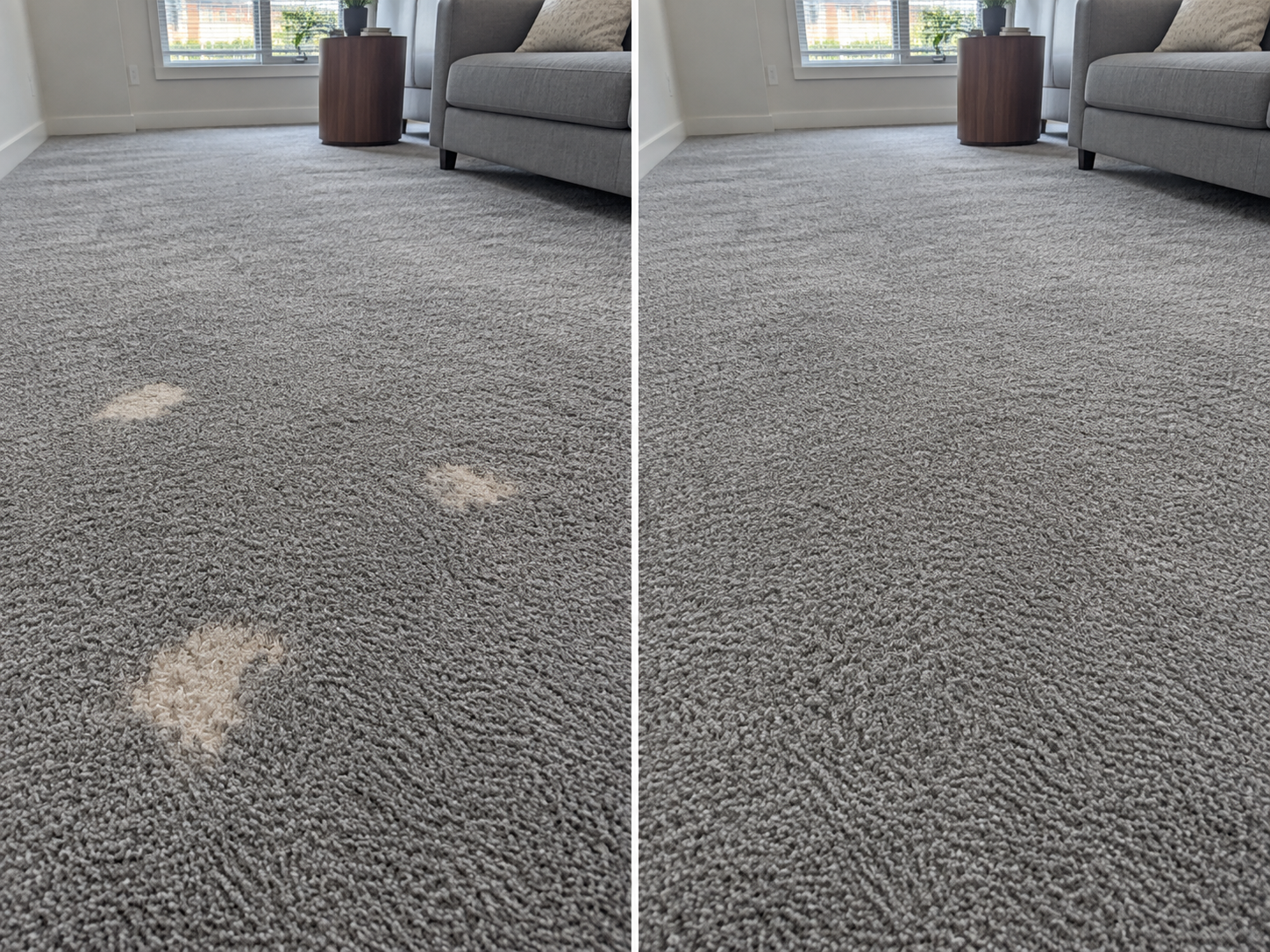 Before and after: white bleach marks on gray carpet in a Las Colinas corporate housing unit, then the same carpet corrected and blended with no visible marks