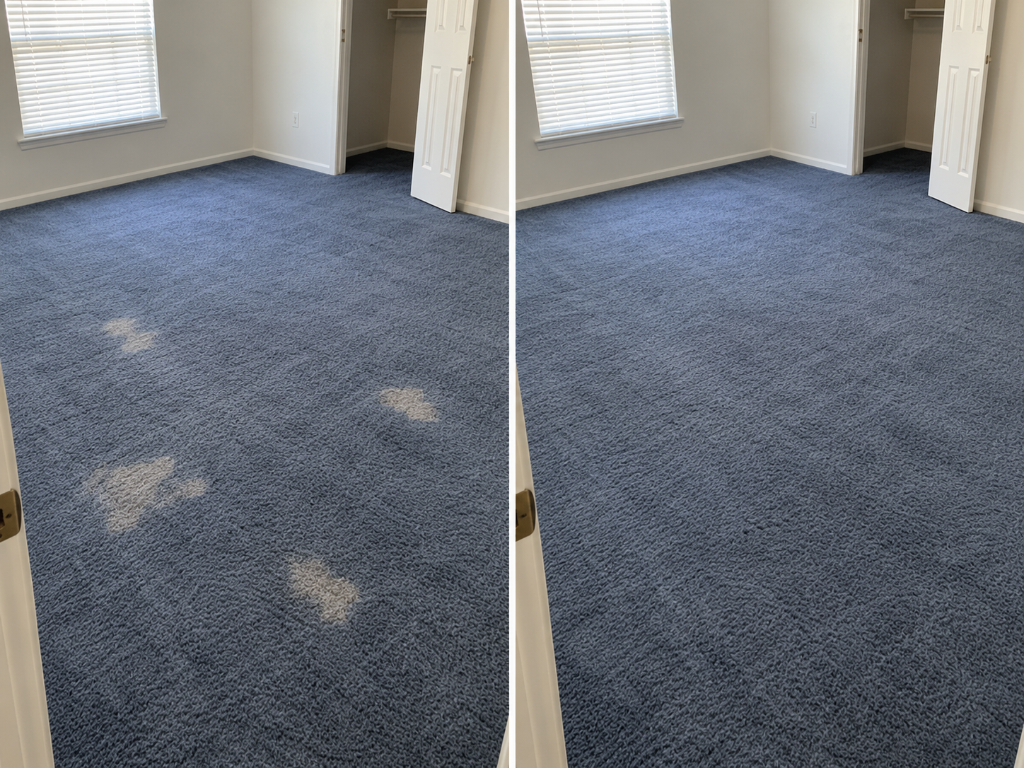Before and after: white bleach marks on blue bedroom carpet in a Mesquite rental home, then the same carpet corrected and blended with no visible marks