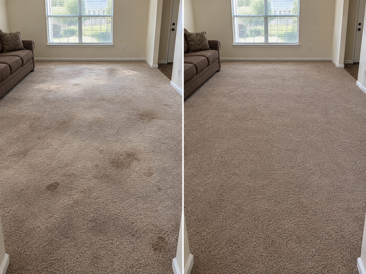 Before and after: unevenly faded and stained beige living room carpet, then the whole room dyed to one even color wall to wall