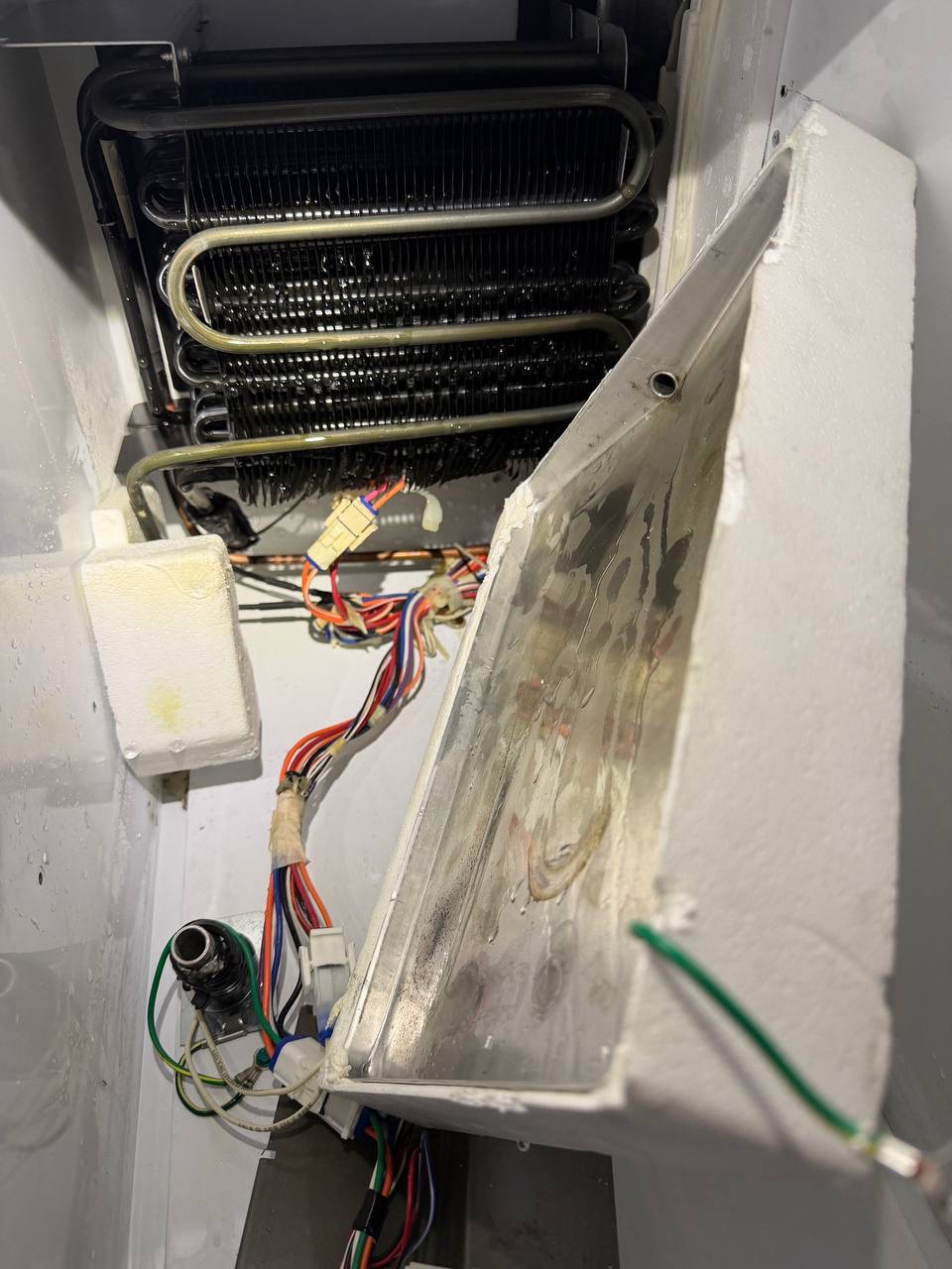 Refrigerator internal wiring and component inspection — Denver metro