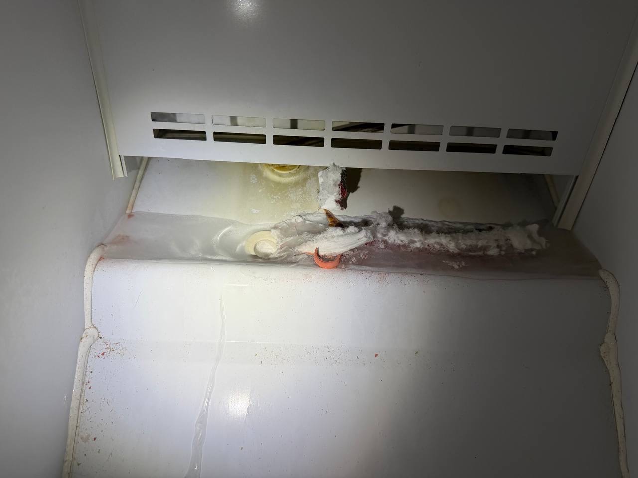 Dishwasher pump and internal component service — Denver metro