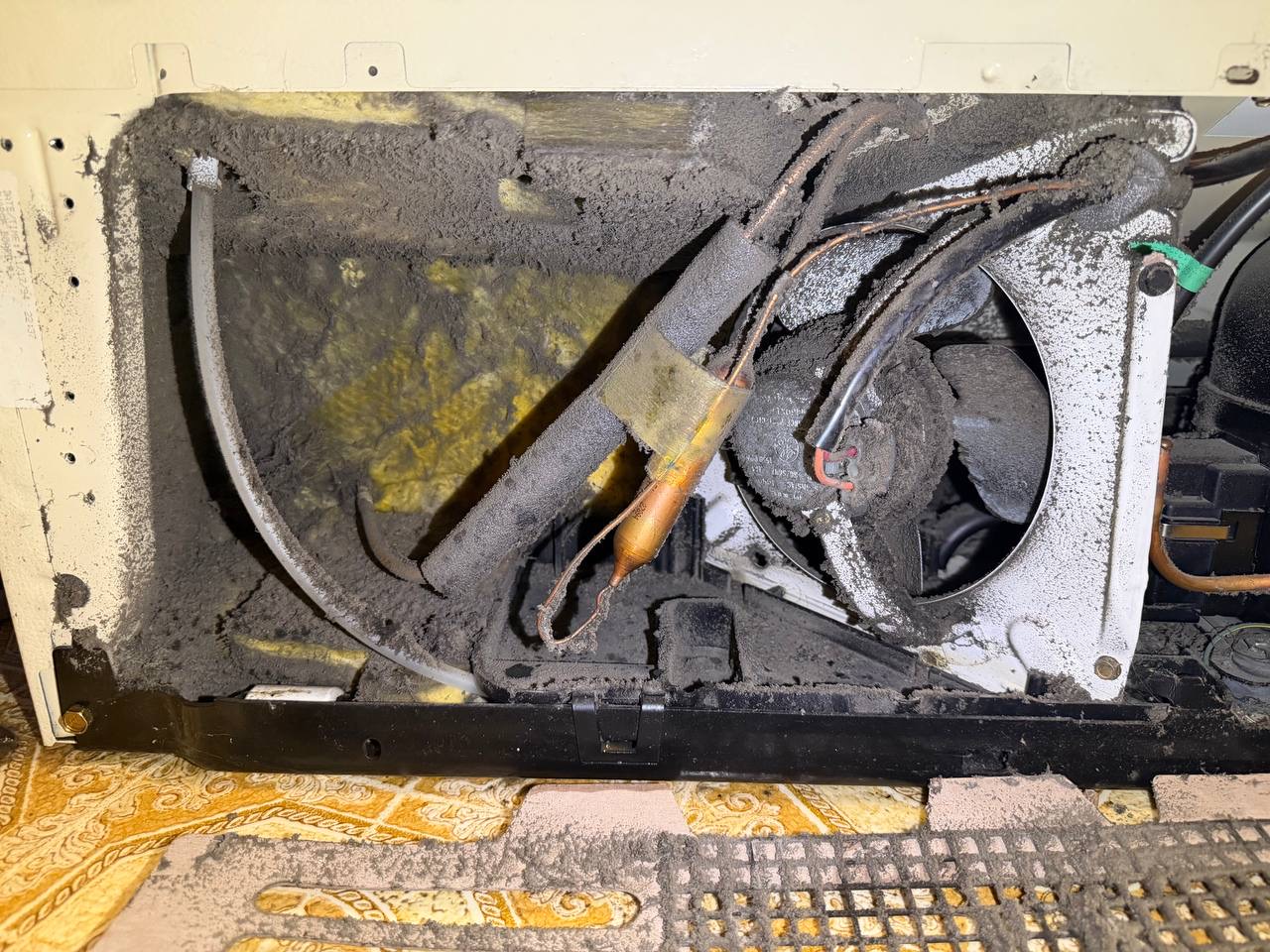 Refrigerator condenser coil cleaning and dust removal — Denver metro