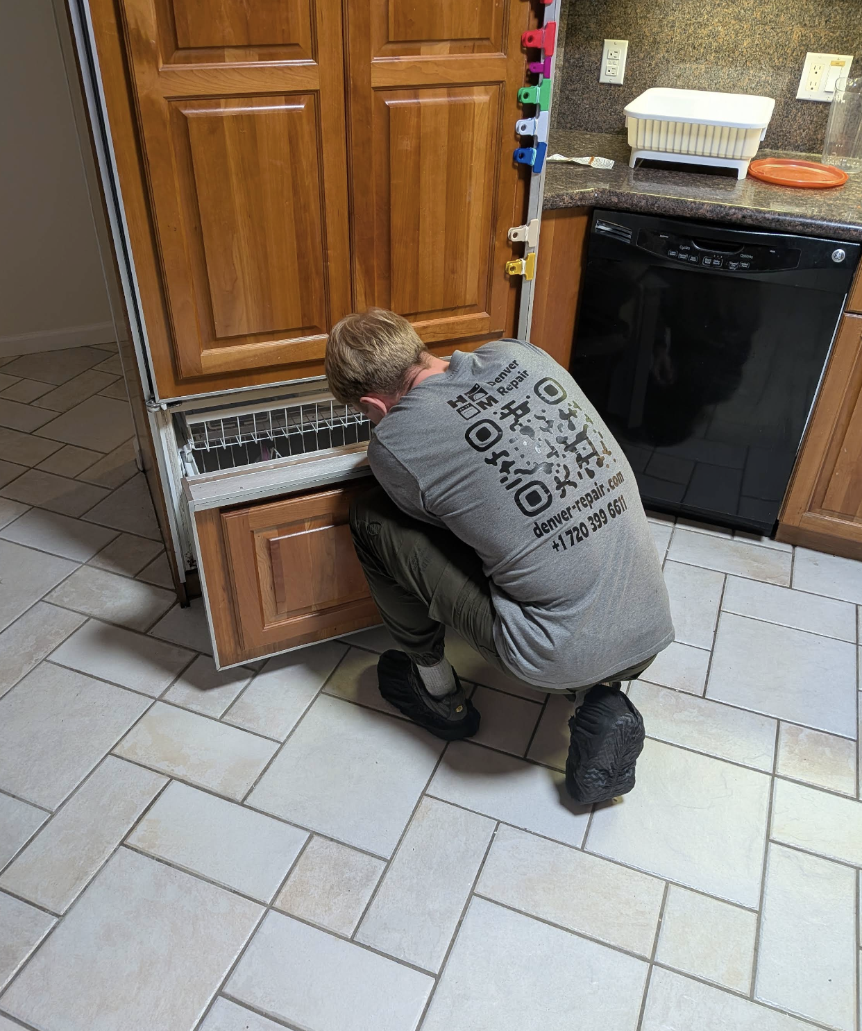 Gena diagnosing a built-in dishwasher — Denver metro