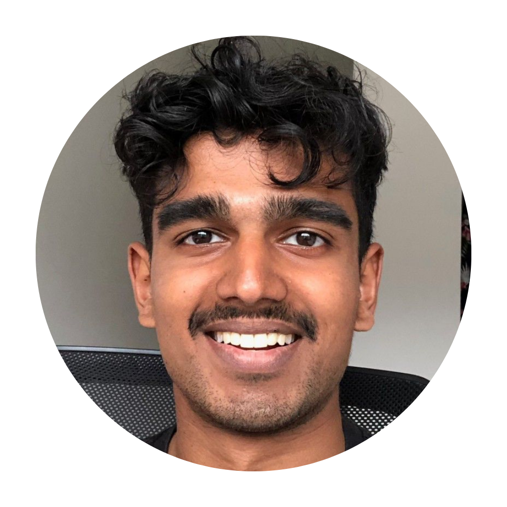 Milan Rajivi, Hamilton Emails