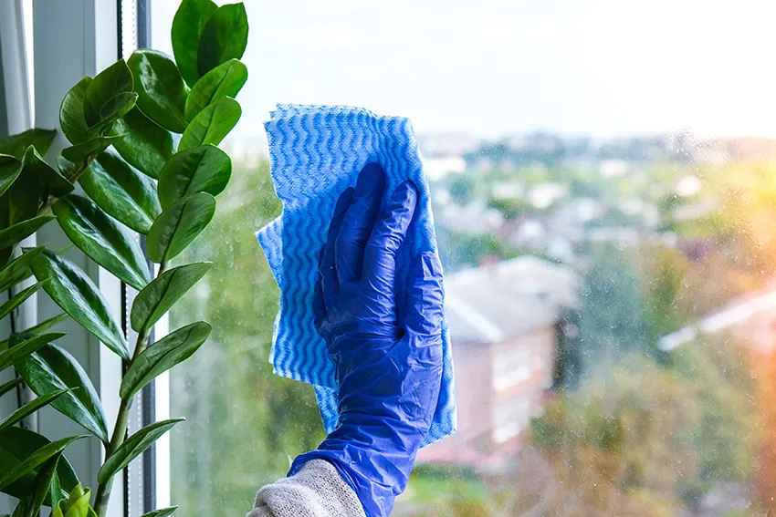 Cleaning supplies and disinfecting services