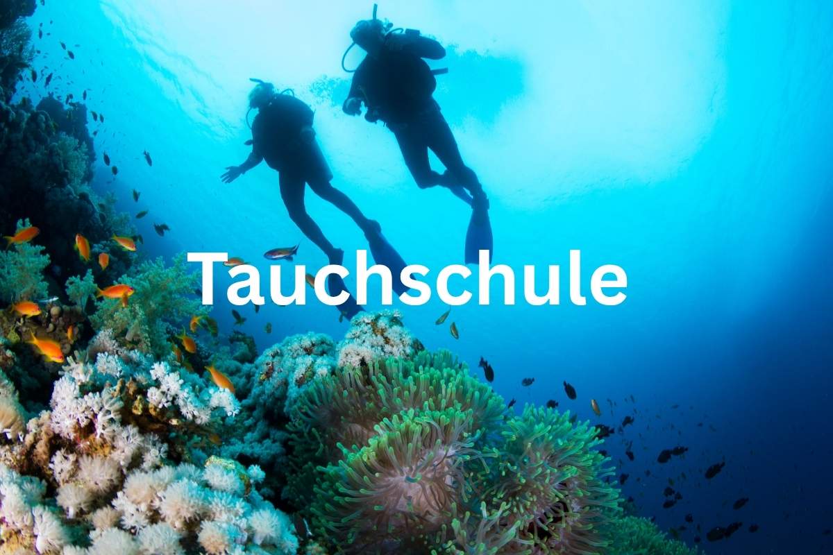 Titelbild "Tauchschule", Bild von zwei Tauchern