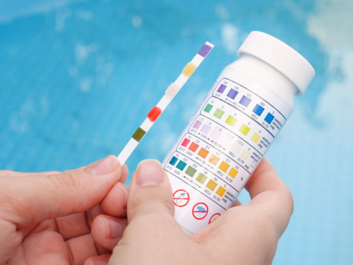 Weekly Pool Cleaning Sarasota