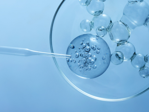 Leak Detection & Repair Sarasota