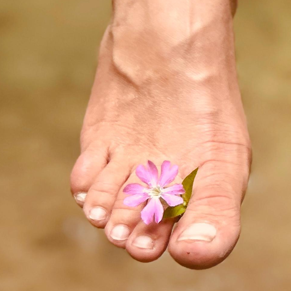 Illustration zur Reflexzonentherapie – Fuss im Wasser mit Blüten und Ranken