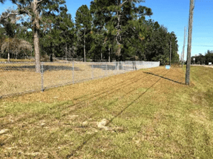 {{ custom_values.service_4 }} in {{custom_values.area_1})