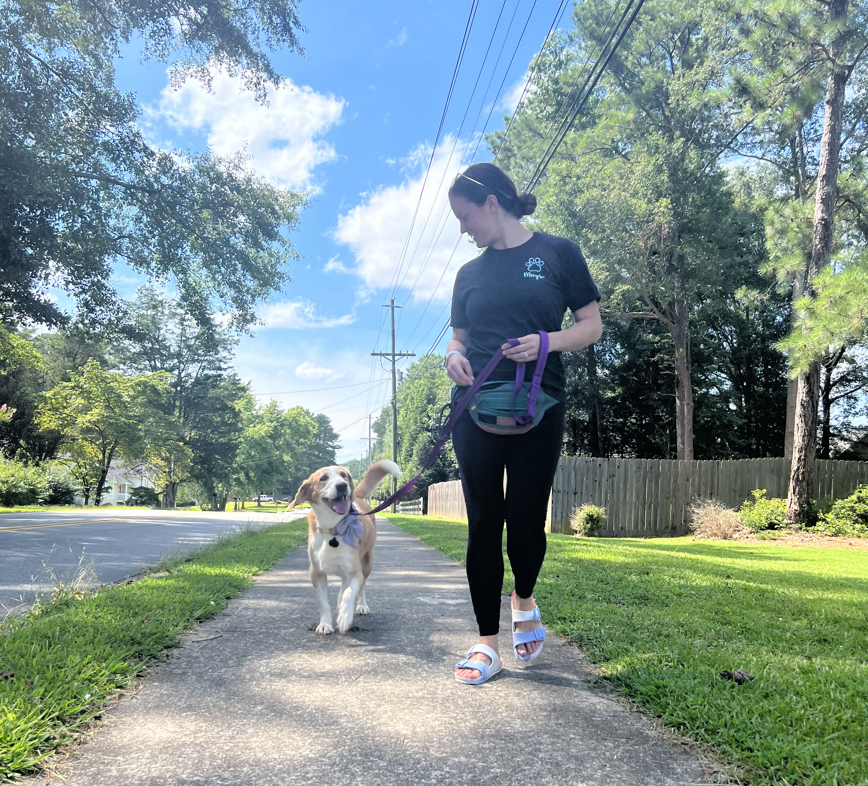 puppy-boarding