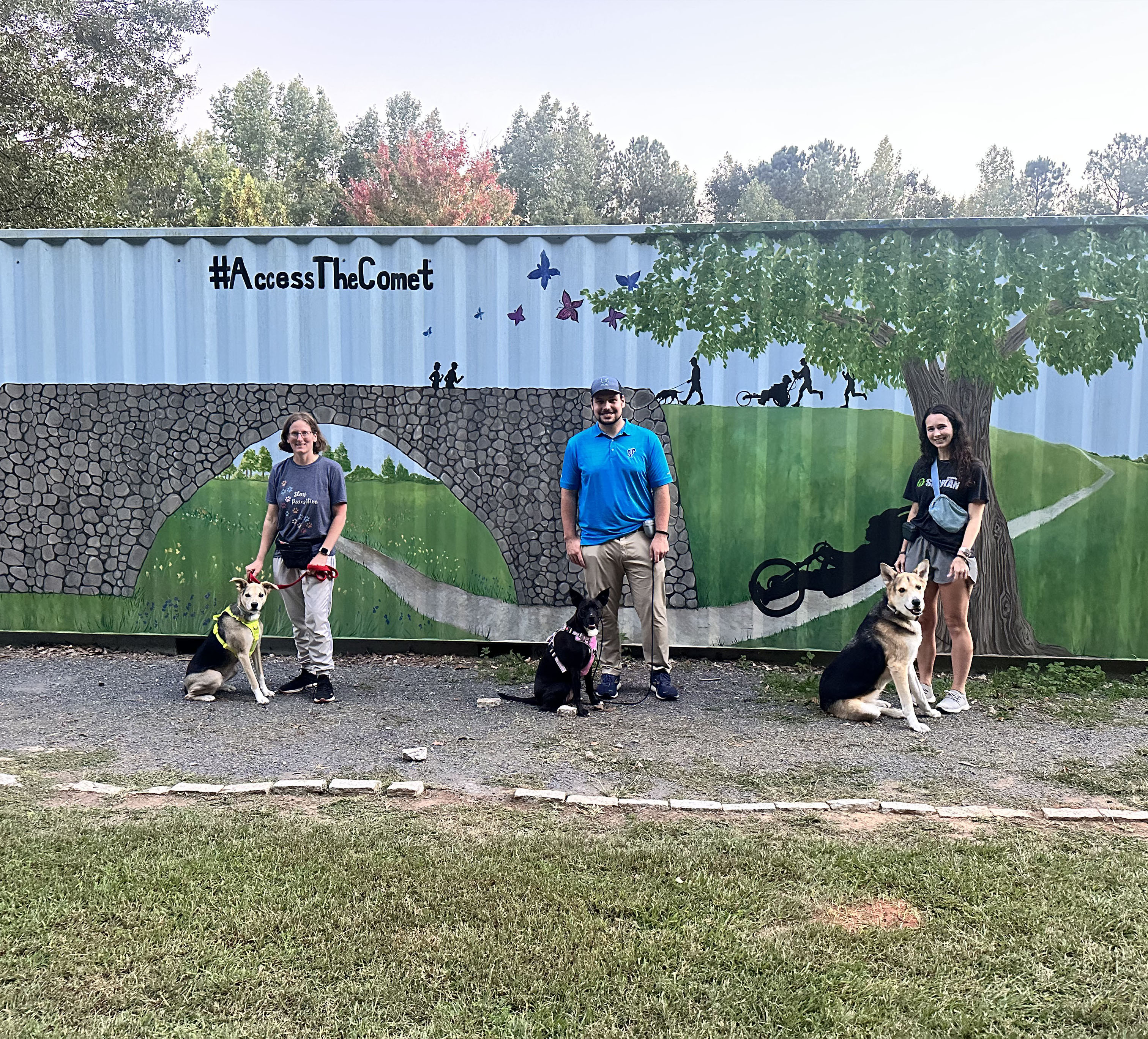 puppy-boarding