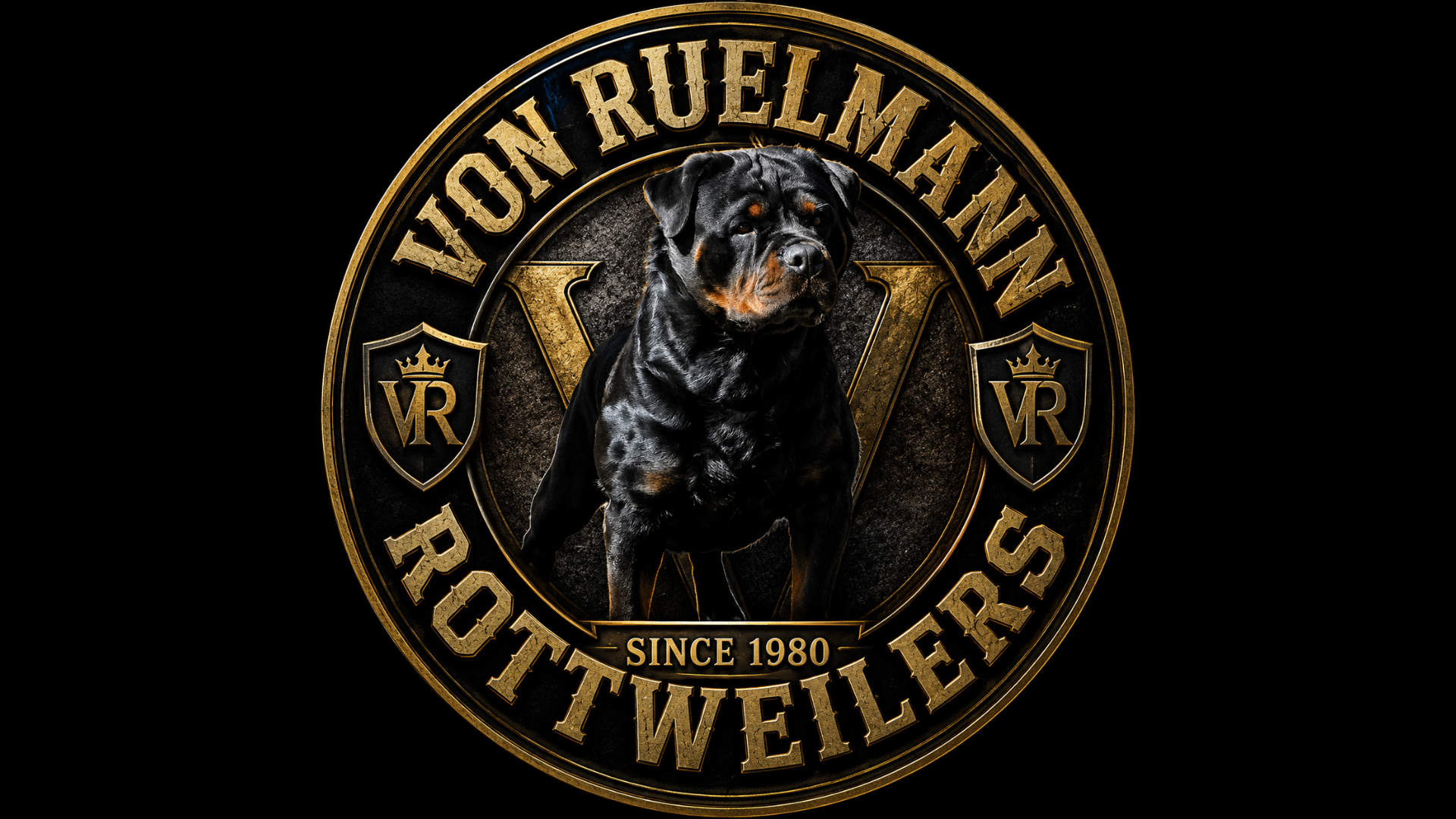 Von Ruelmann German Rottweiler Puppies for Sale | Von Ruelmann Rottweilers