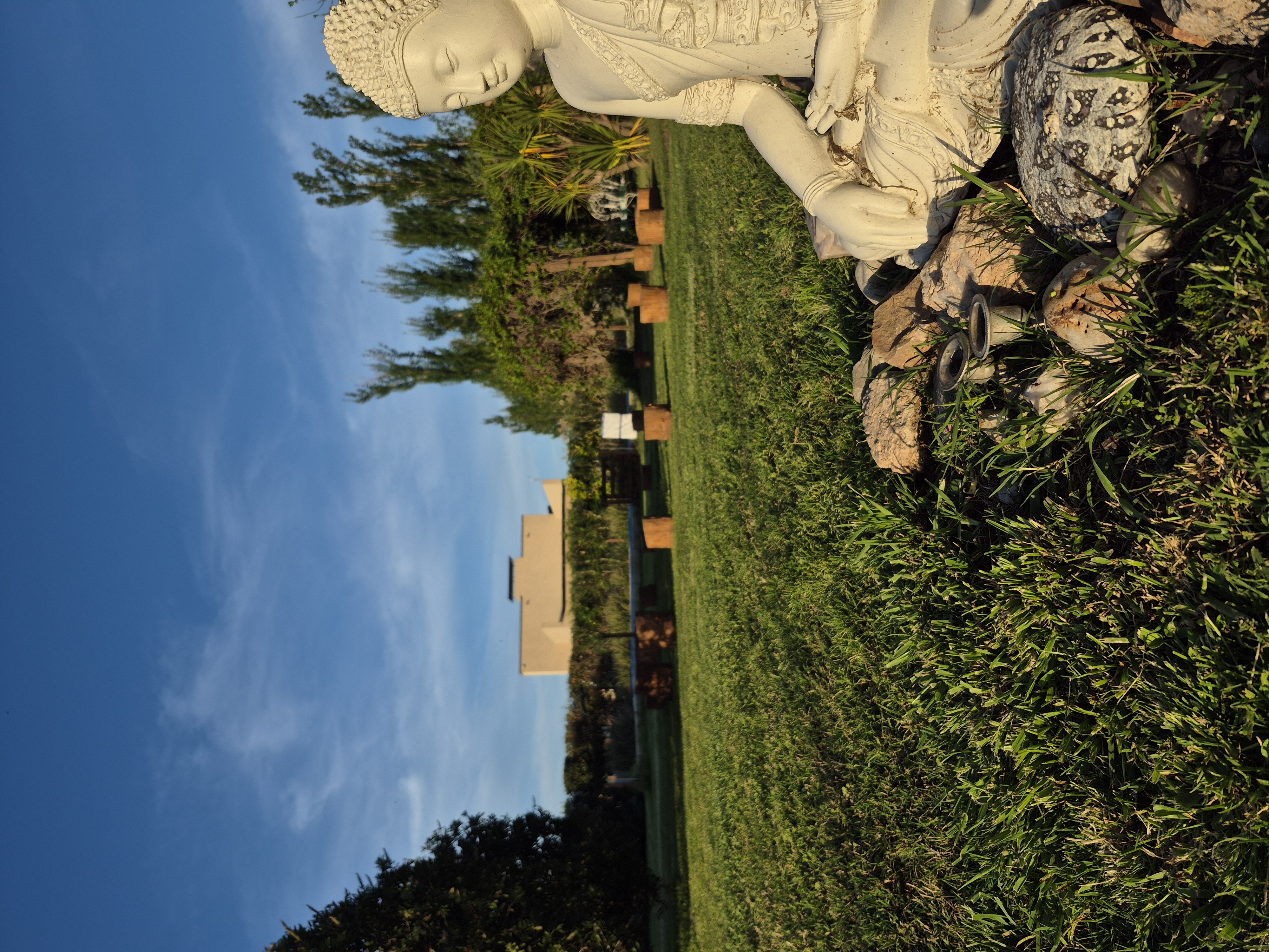 Buda en el jard&iacute;n