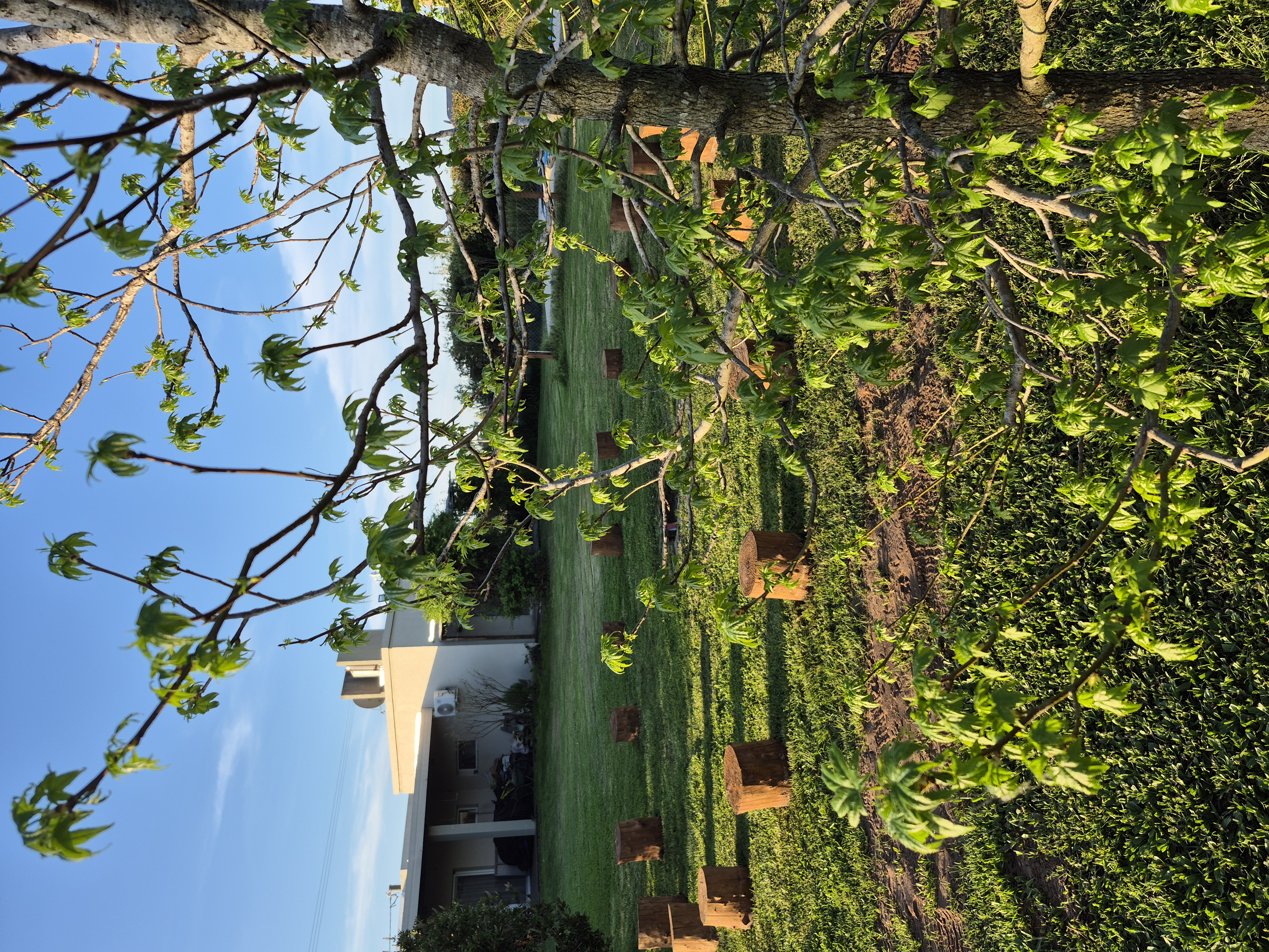 Vista panor&aacute;mica