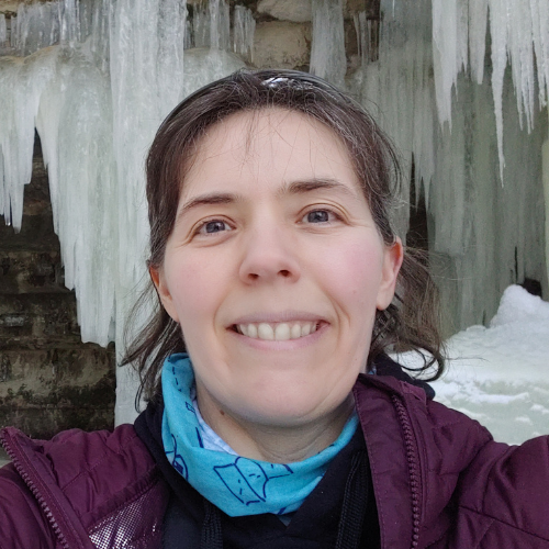 girl face - brown hair with bangs in teal shirt against brick wall