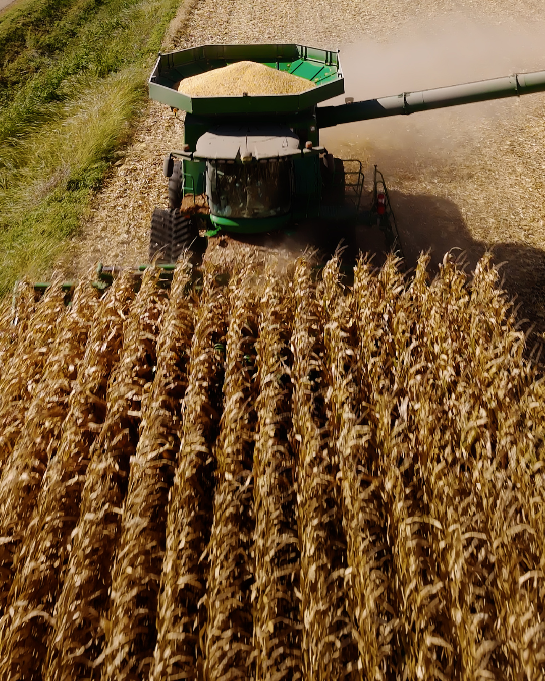 WBN Performance Pack proof image 1