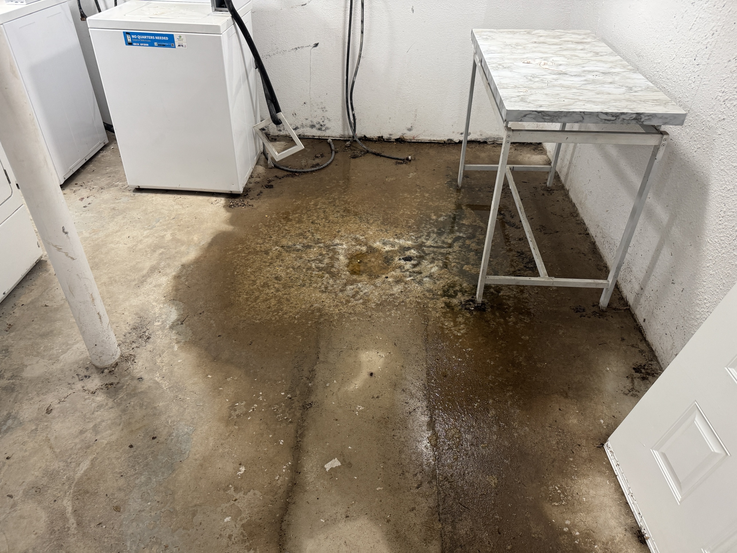 Sewage backup in an apartment building laundry room