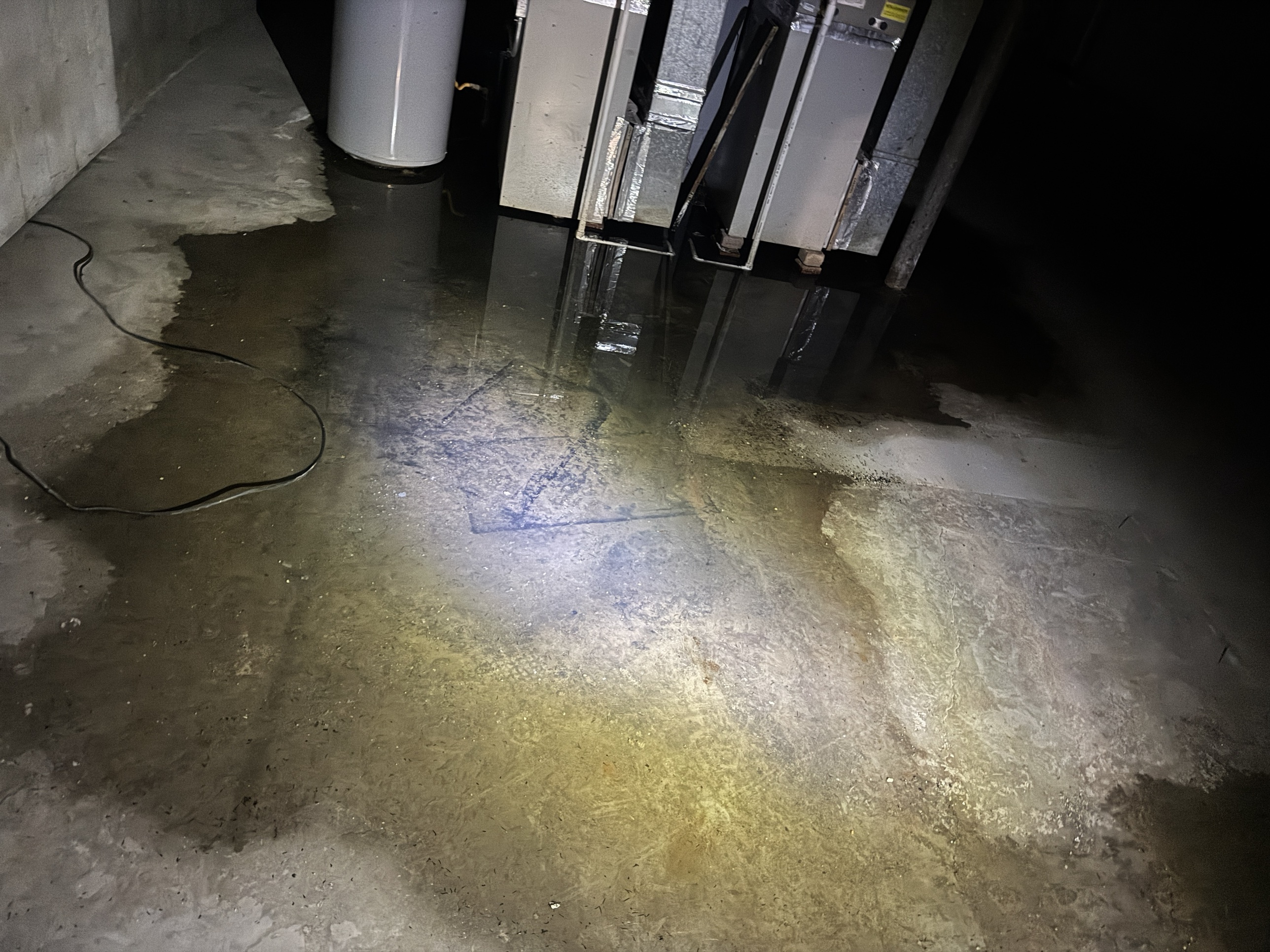 Standing sewage water in a basement mechanical room