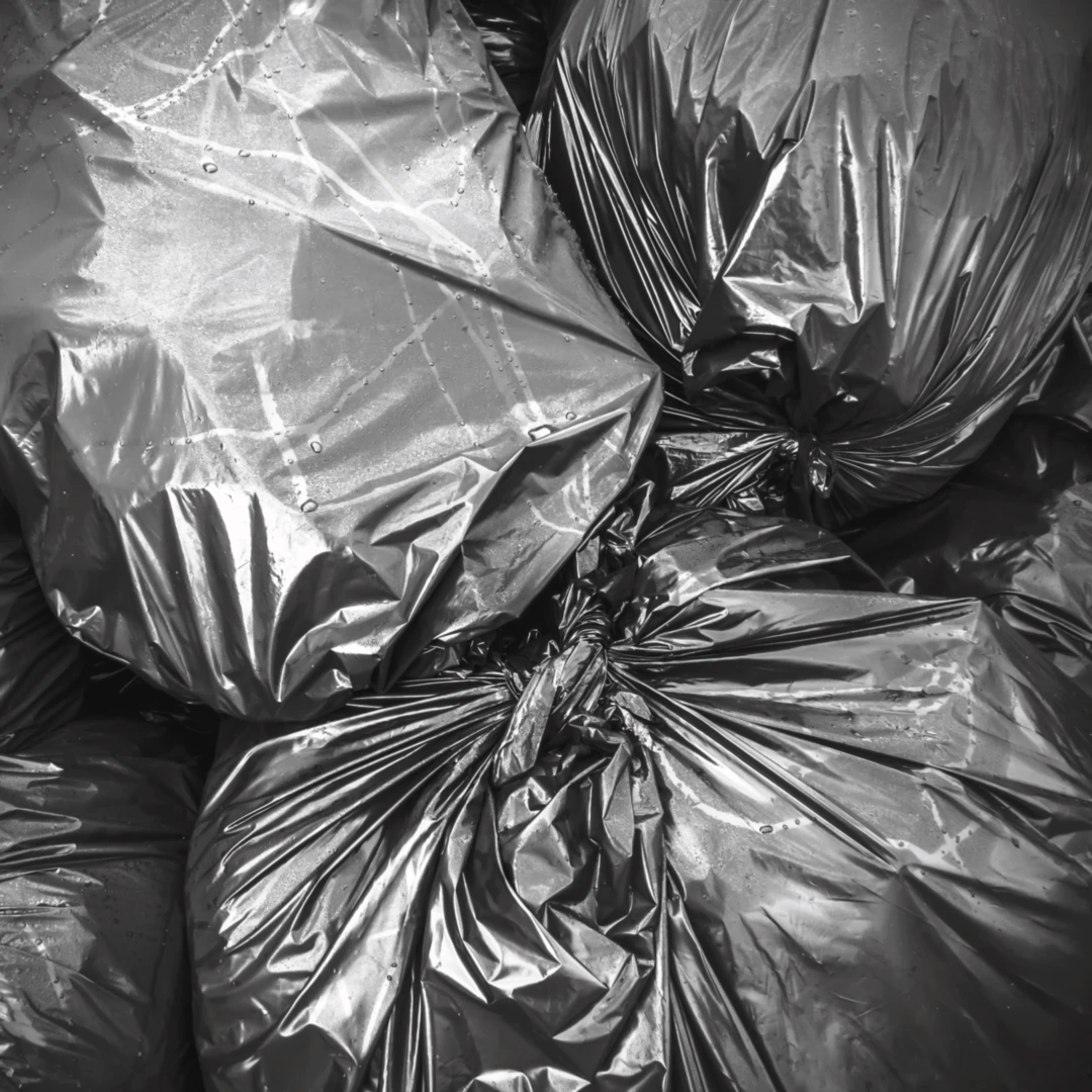 garabge cleanup service in new york and new jersey