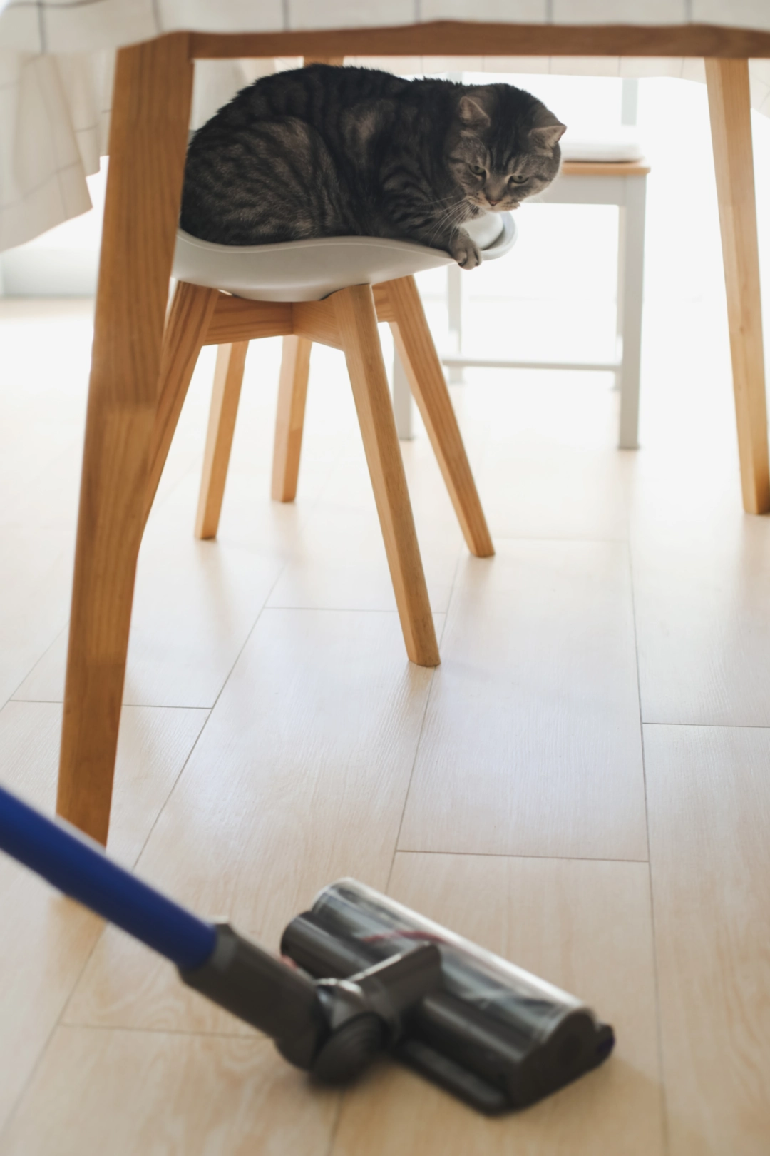 vacuuming in paterson nj