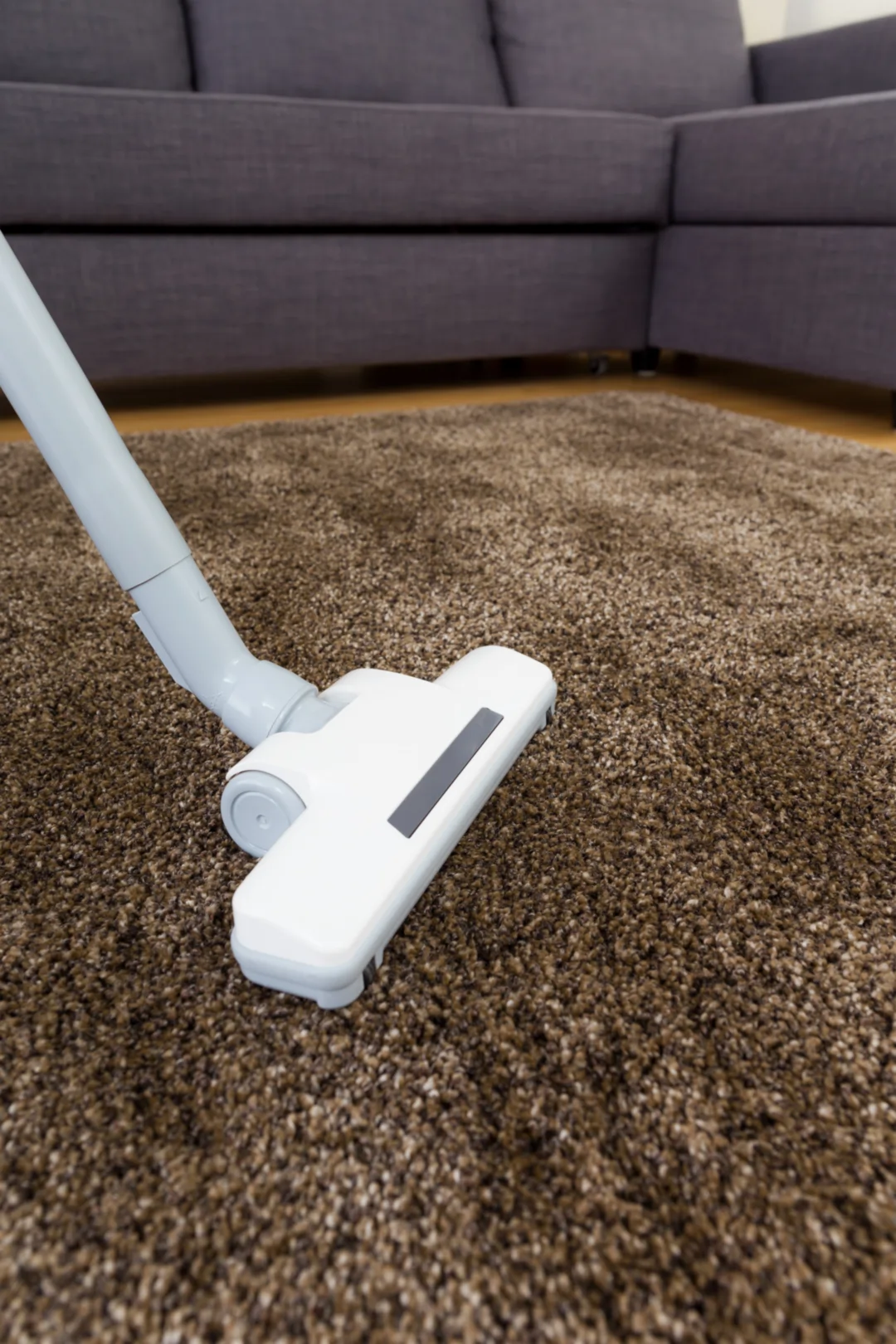 vacuum cleaning in newark nj