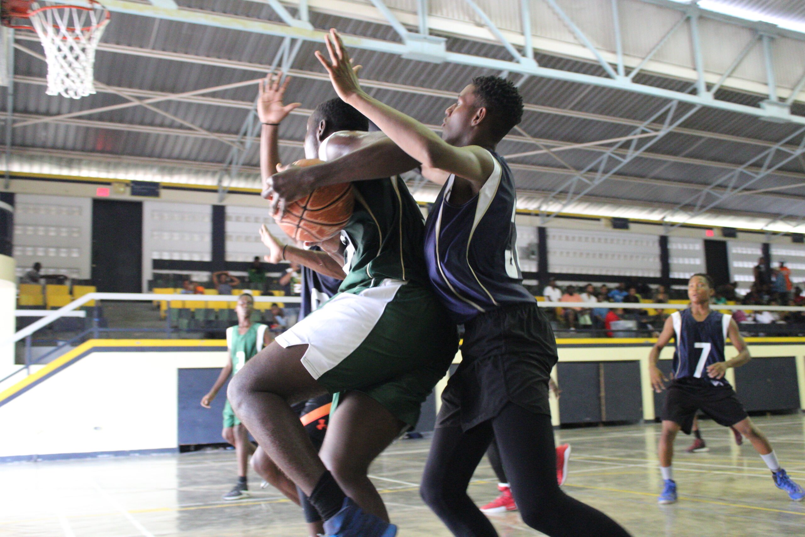 Basketball Sports Tour Jamaica: Hoops in Paradise