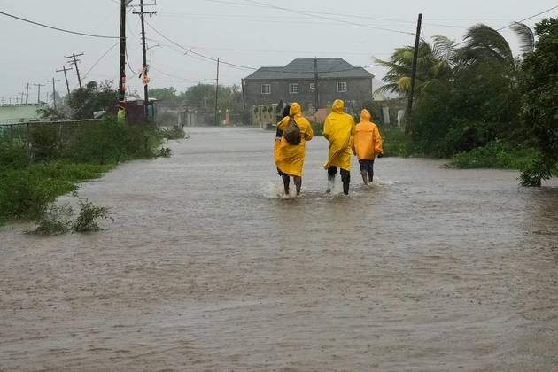 Disaster Resilience