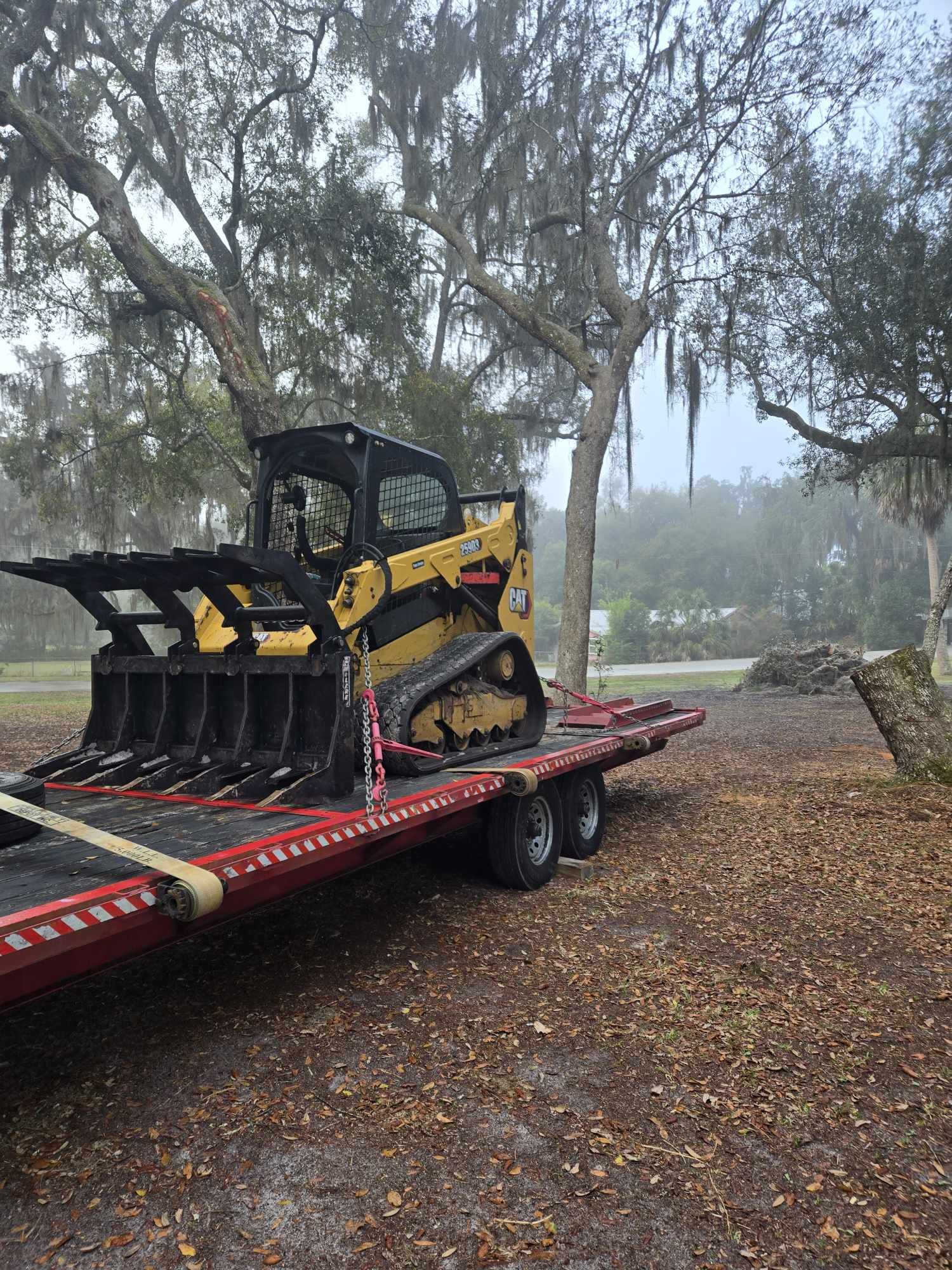 Stump Grinding