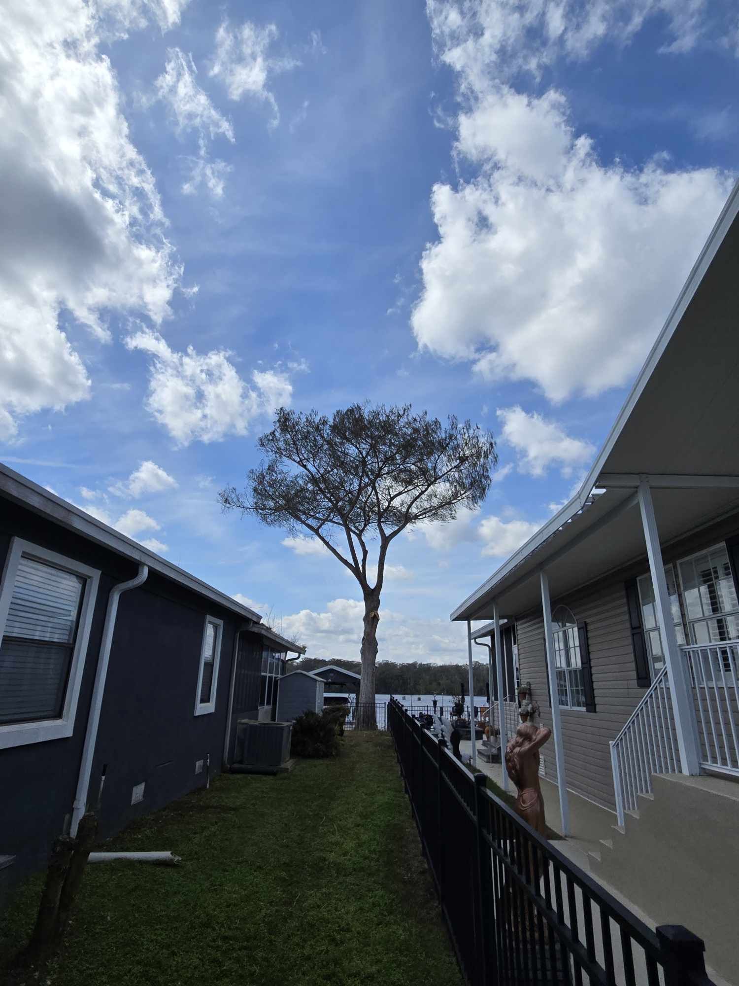 Tree Pruning