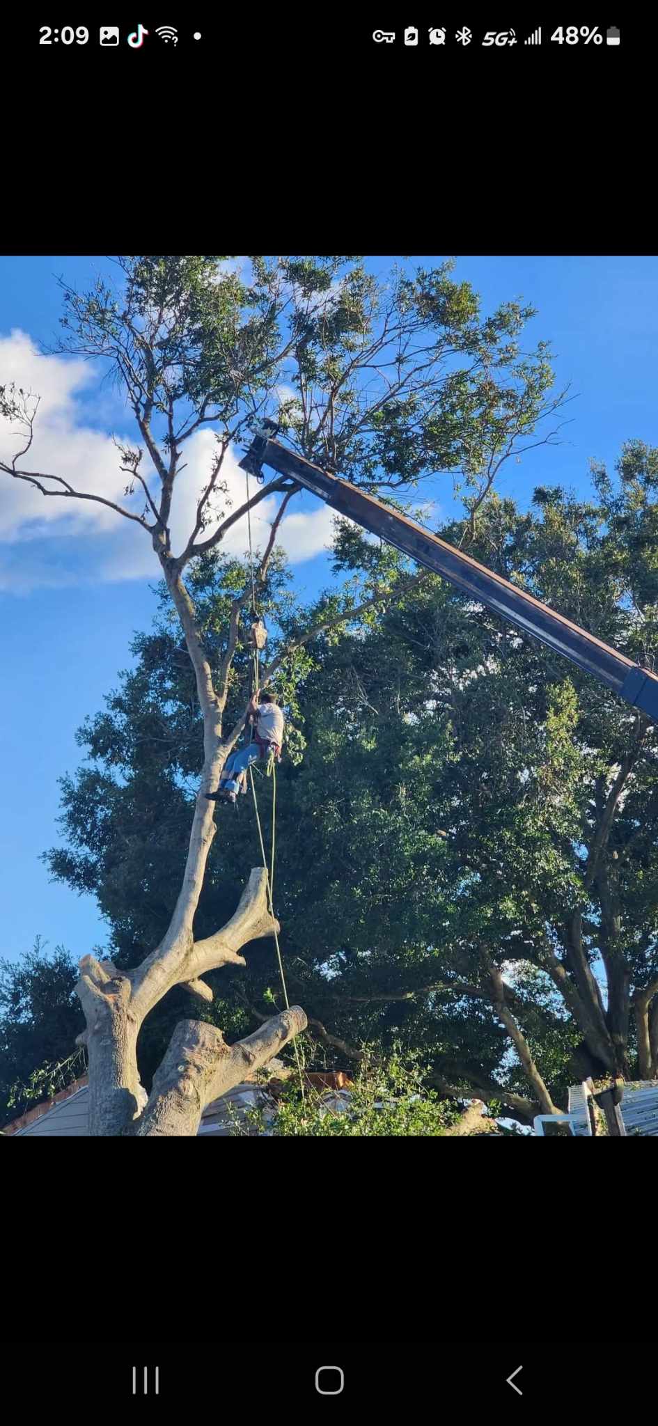 Tree Service Crew