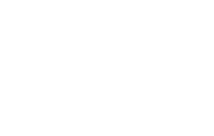 The Jessie Banwait Team 