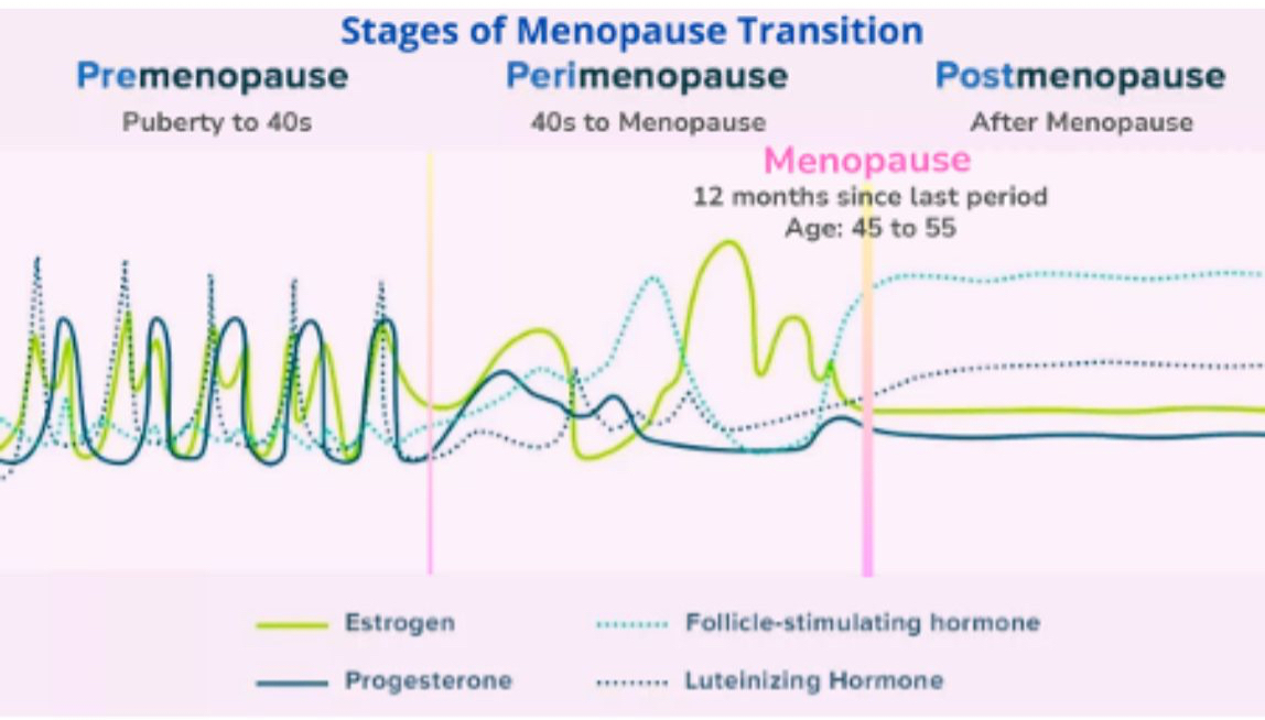 hormone chart