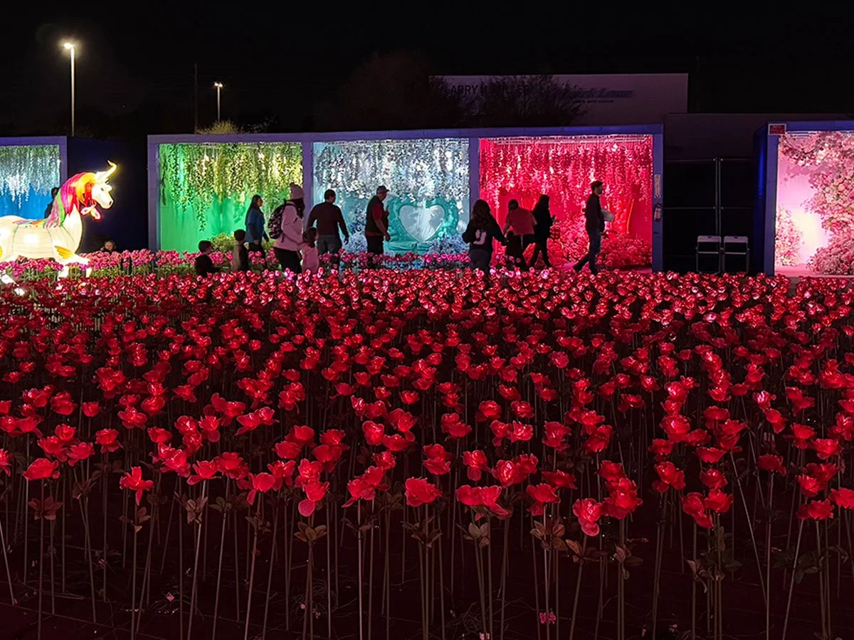Imaginarium Mesa Holiday