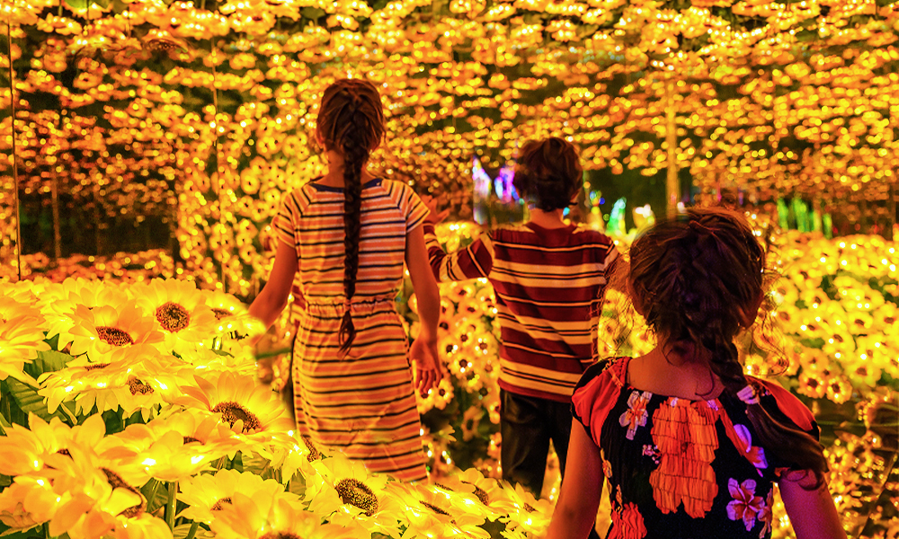 Imaginarium Fairplex