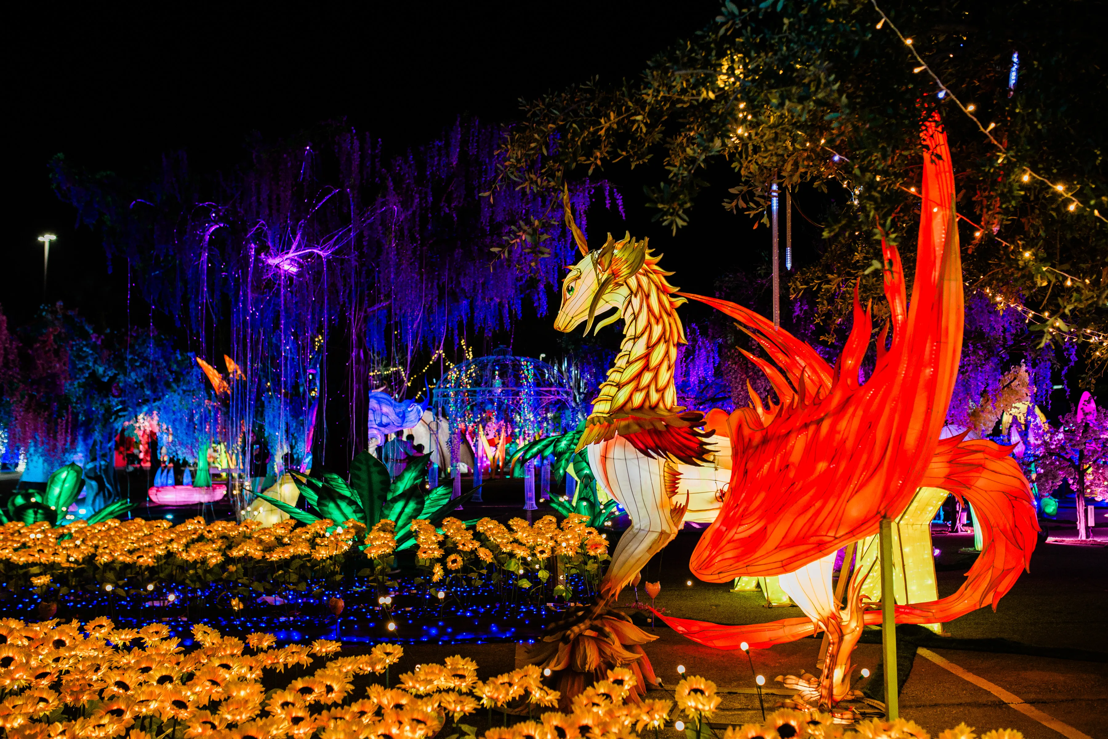 Imaginarium San Diego