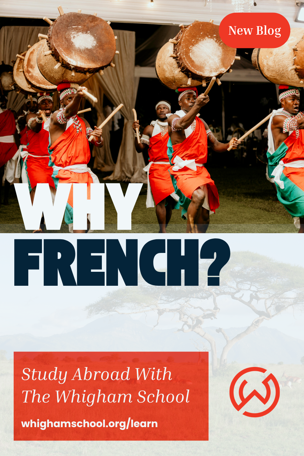 Traditional African drummers performing at a cultural festival in a Francophone region, illustrating the cultural immersion and study abroad experiences featured in The Whigham School's blog on the benefits of learning French. Traditional African drummers performing at a cultural festival in a Francophone region, illustrating the cultural immersion and study abroad experiences featured in The Whigham School's blog on the benefits of learning French.