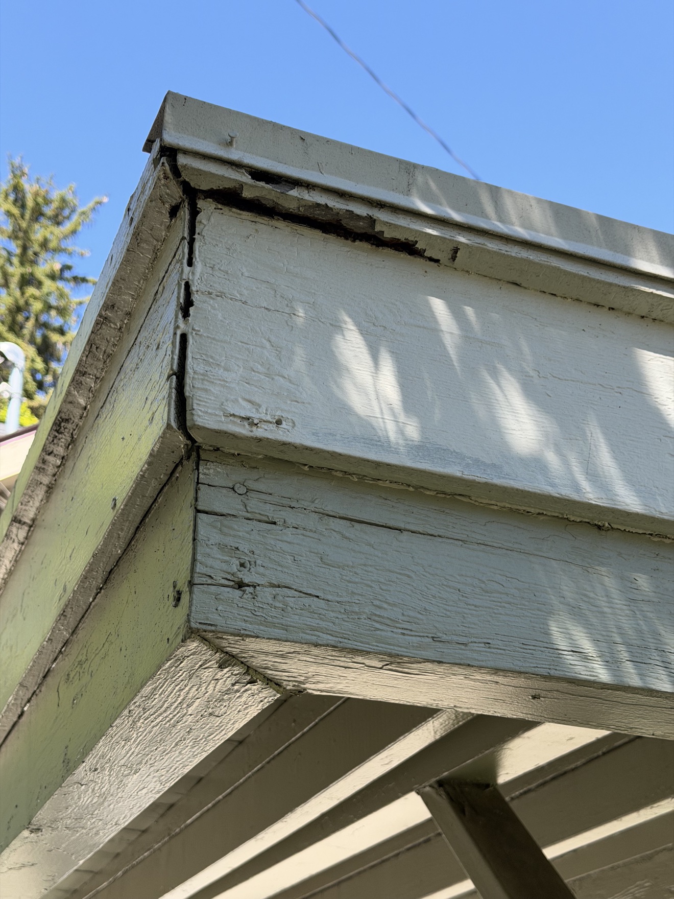 Fascia closeup - Before