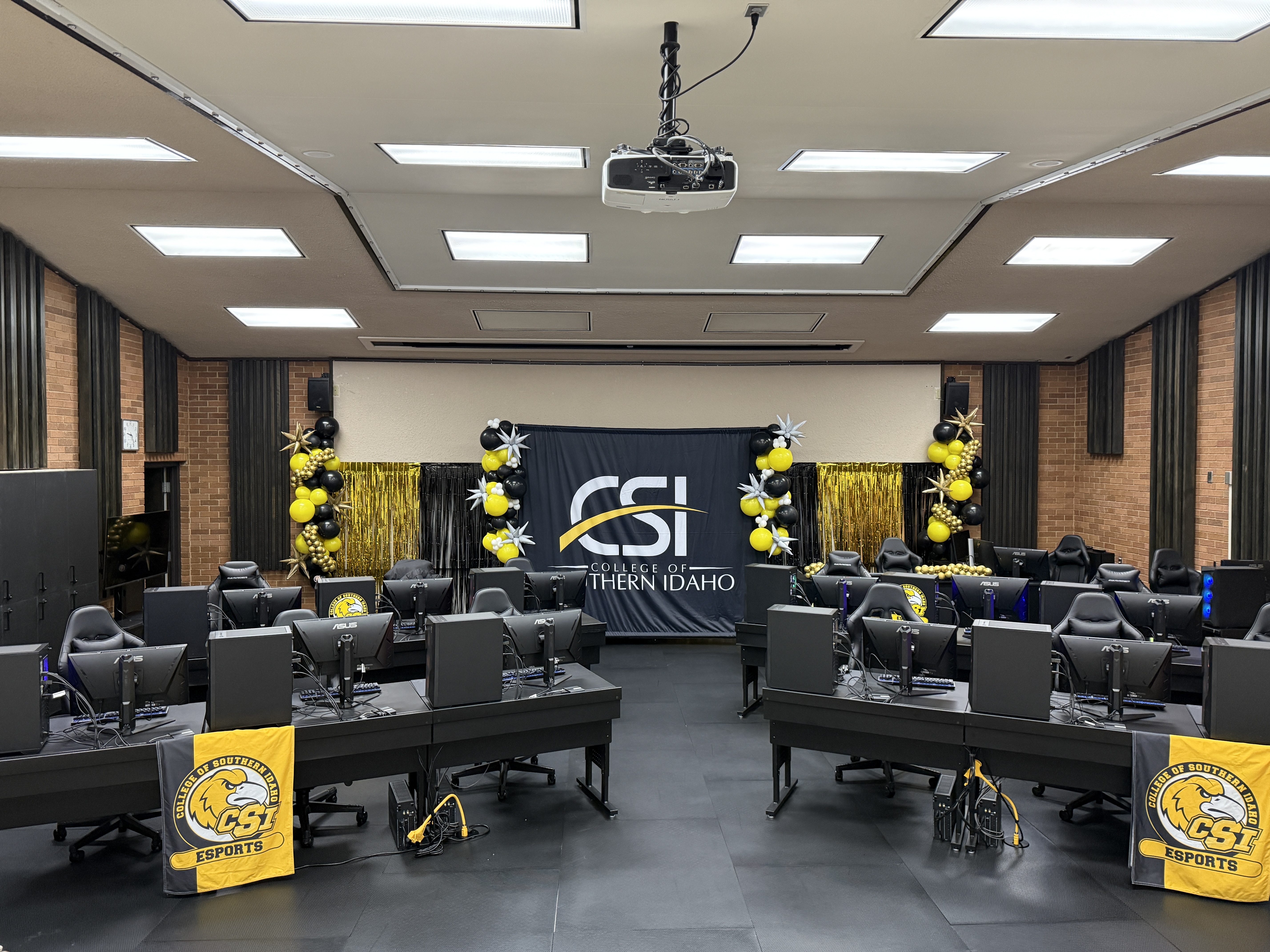 CSI college balloon columns