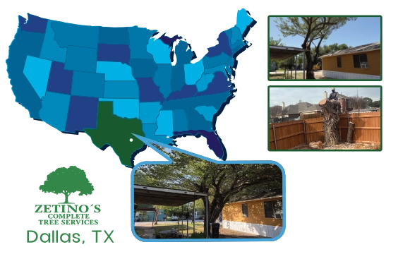 Map showing the 60-mile coverage area of Zetino's Complete Tree Services centered on Dallas TX