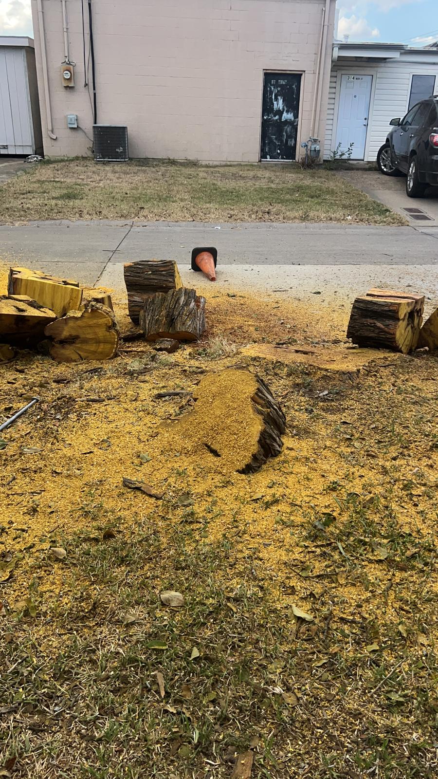 Close-up of a tree stump being removed with a stump grinder