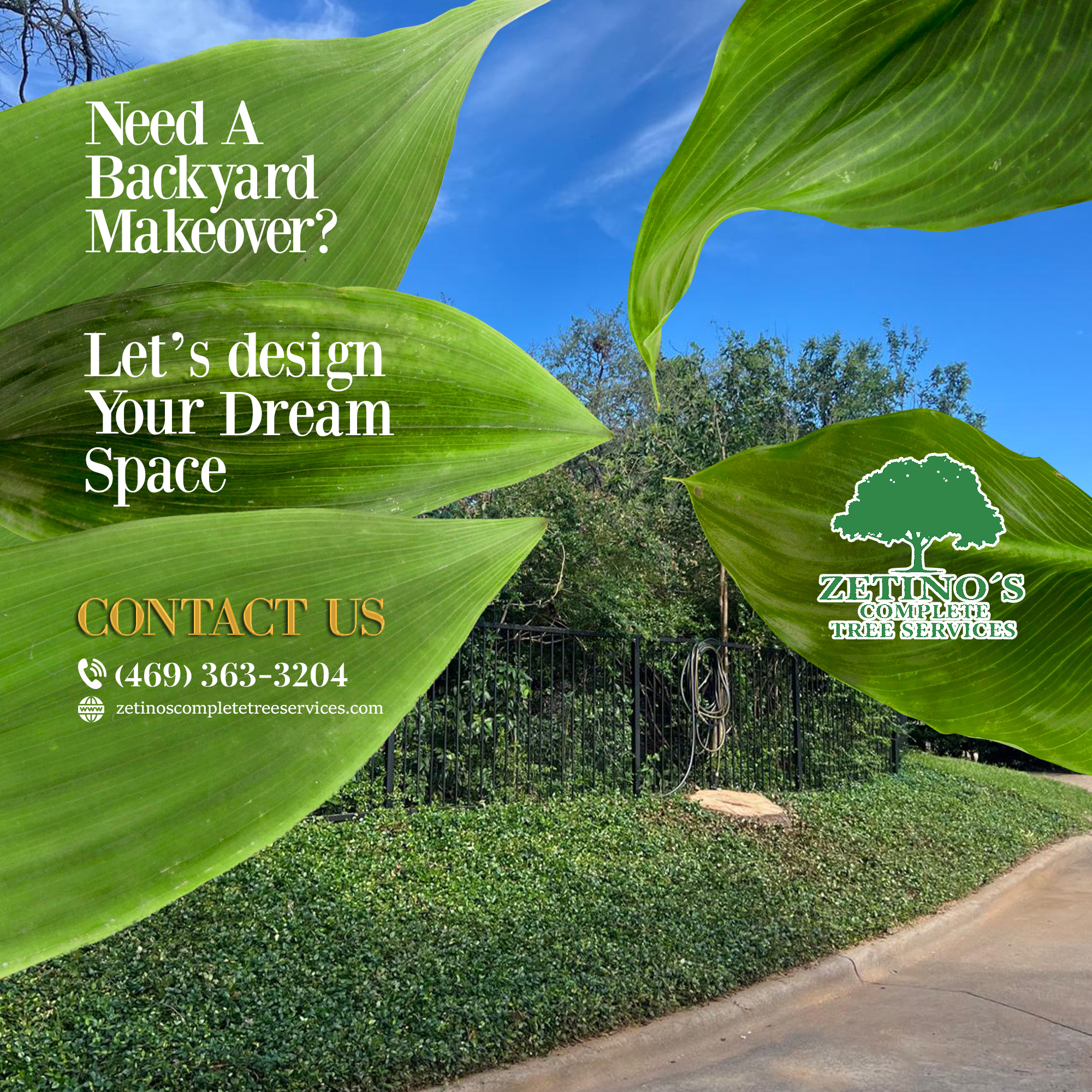 A clean backyard after a complete tree removal and cleanup service