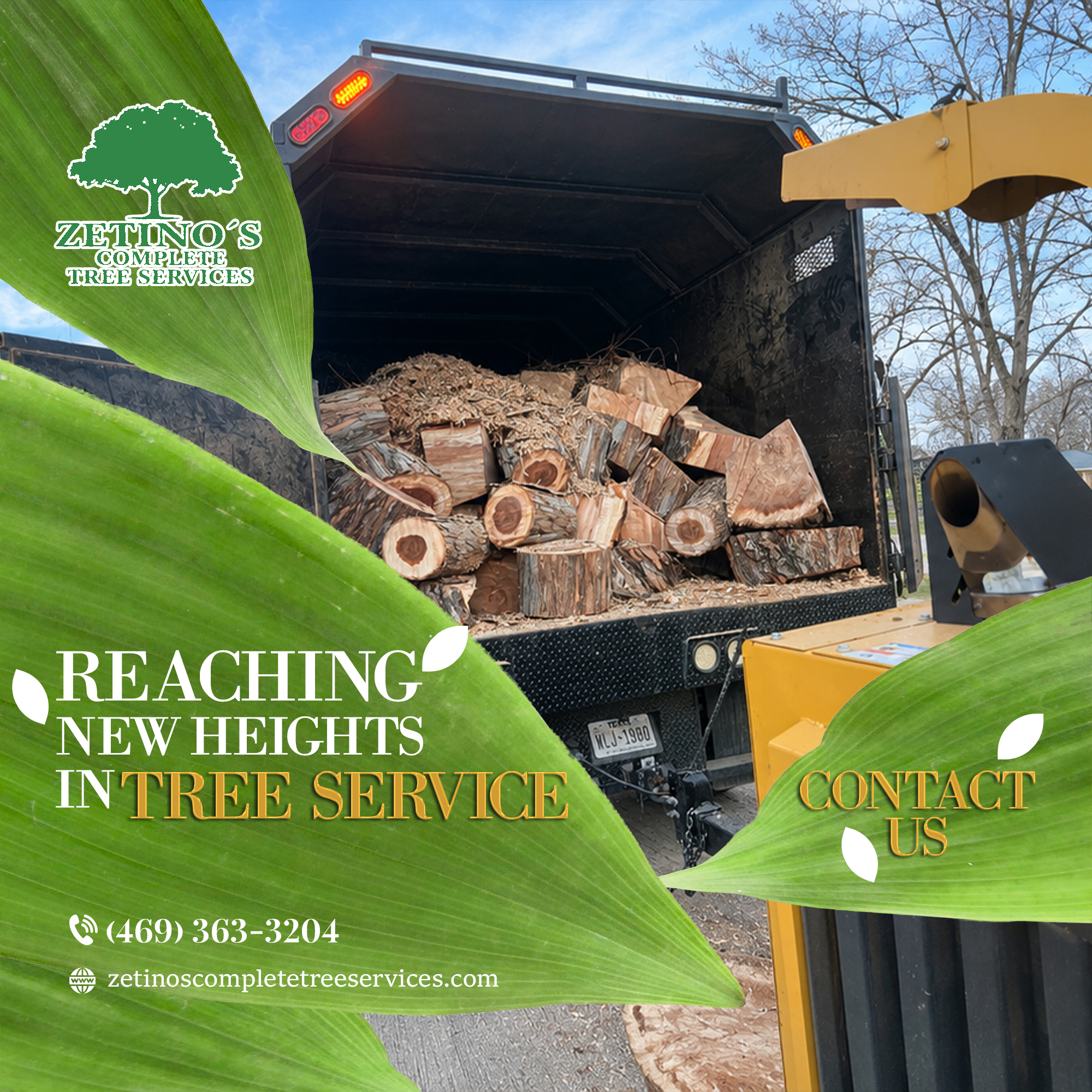 Professional arborist safely trimming a large branch from a tree in a residential yard