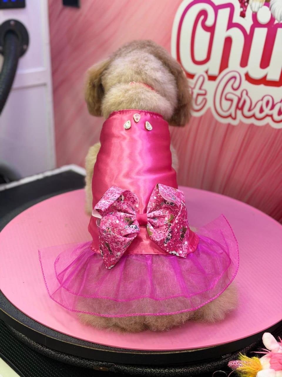 Handmade pet clothing example 5